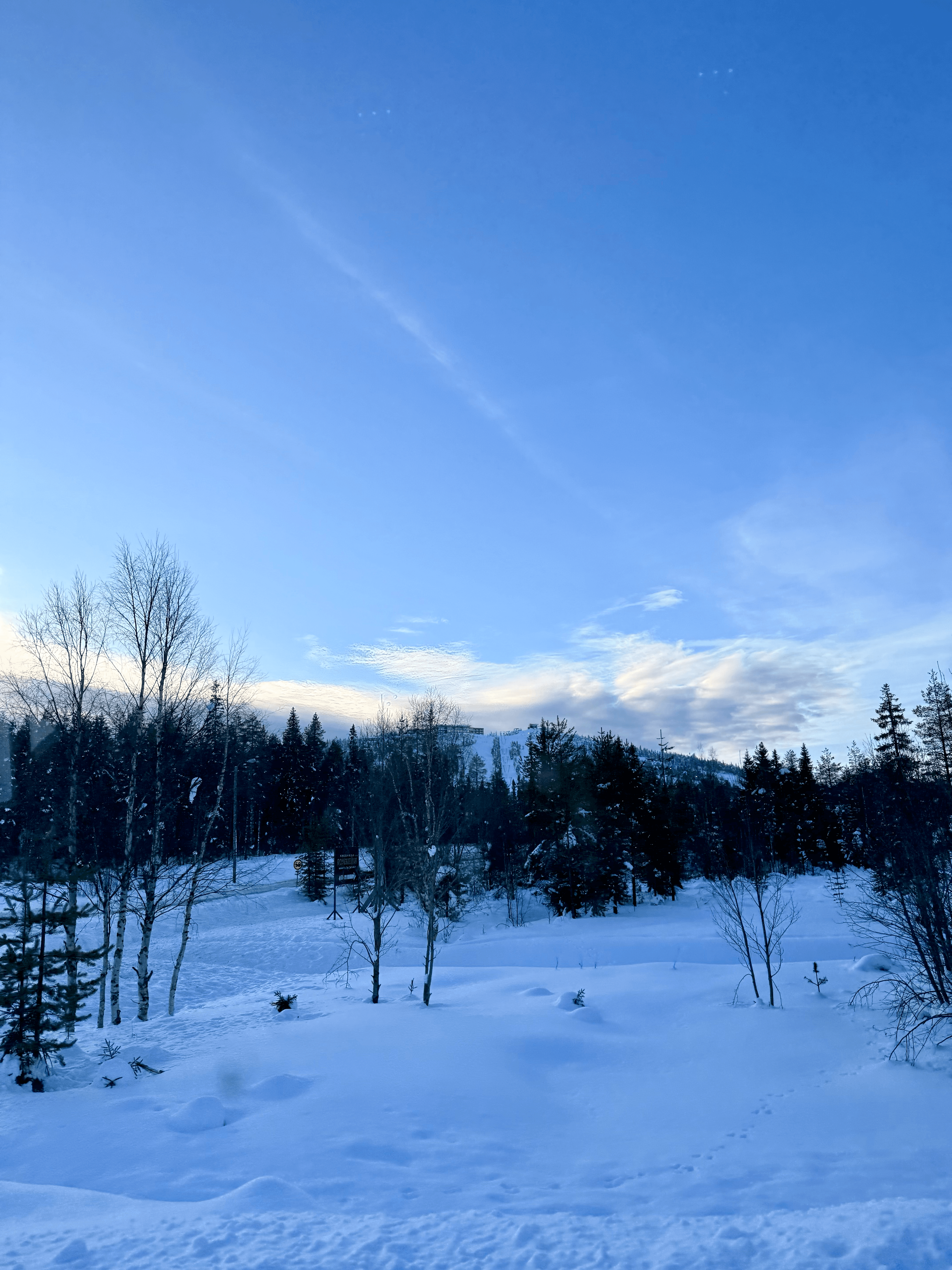 Lapland landscape view two