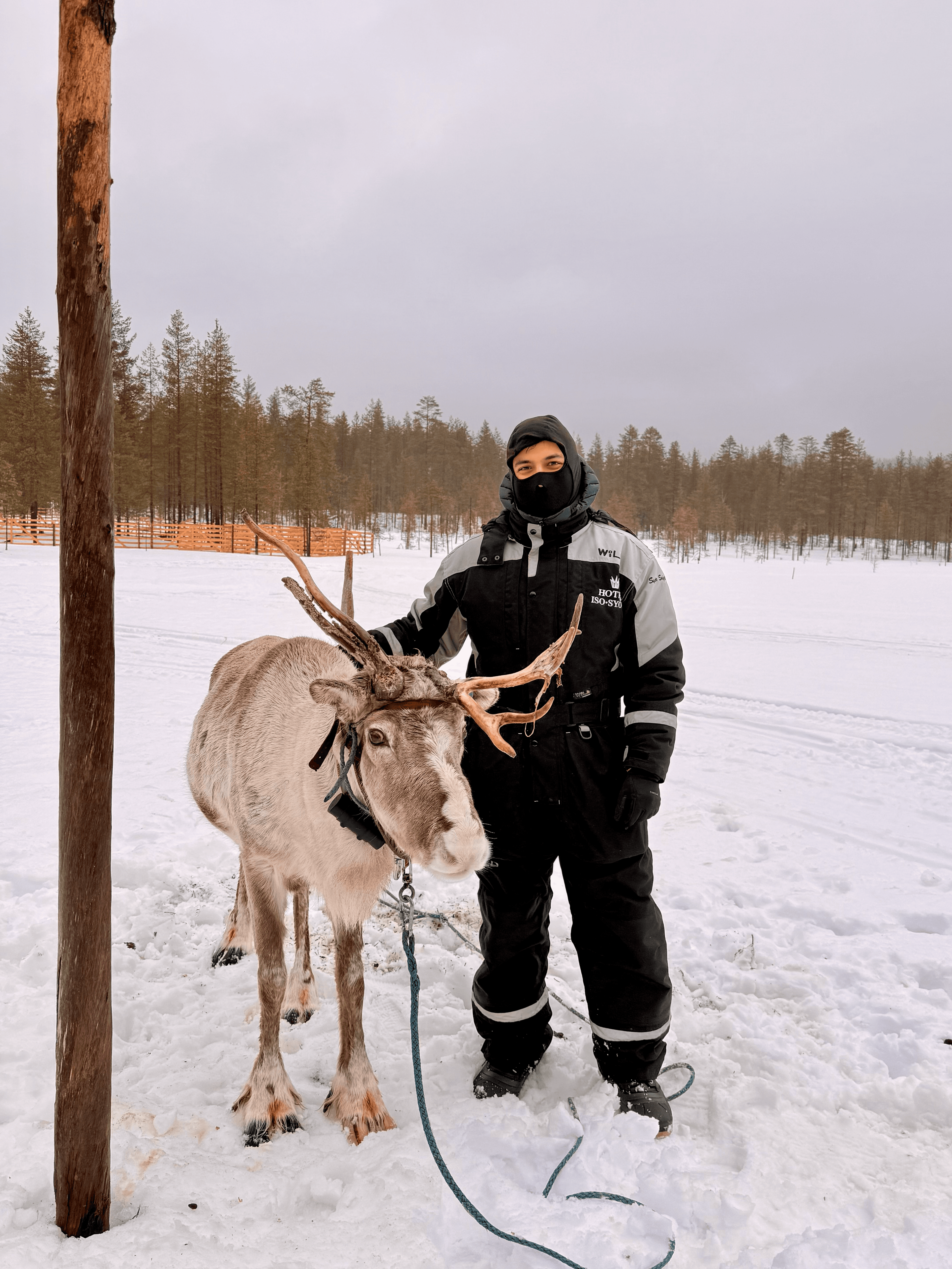Neighbor of Santa Claus